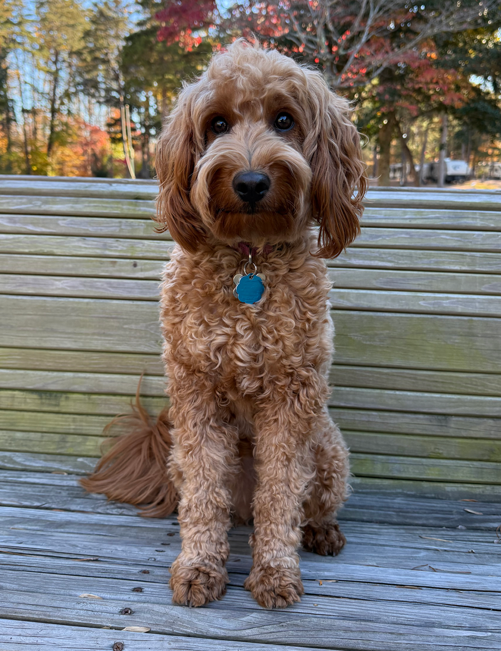 Cozy Acres Campground Staff - Maggie